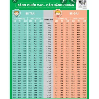 TYTY [Giảm 36k] Bộ đồ thú đồ ngủ khủng long xanh / cá sấu cho con nít FREESHIPkhuyến mãi 25K ĐƠN HÀNG TRÊN 500K 45 19