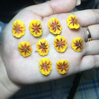 Hoa hướng dương ôm chân