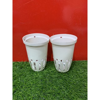 Combo 10 Rọ nhựa trồng rau thủy canh Đường kính 7cm cao 10cm