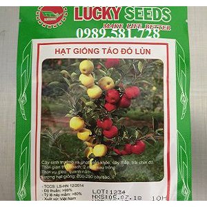 Hạt Giống Táo Đỏ Lùn Xuất Xắc - #caygiongchatluong