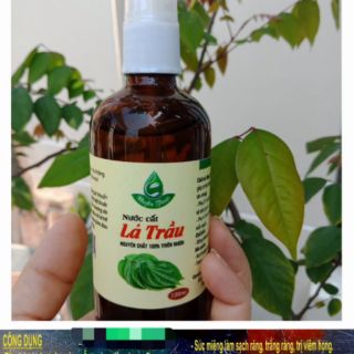 NƯỚC CẤT LÁ TRẦU NGUYÊN CHẤT