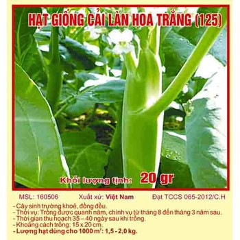 Hạt giống cải làn hoa trắng