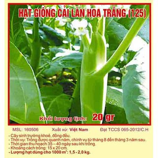 Hạt giống cải làn hoa trắng