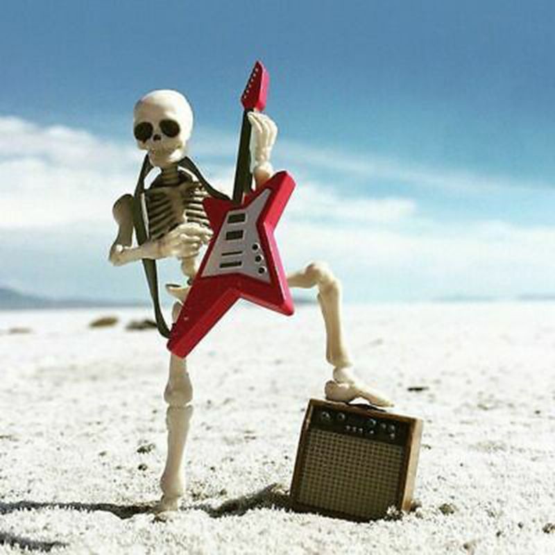 Mô Hình Bộ Xương Người Linh Hoạt