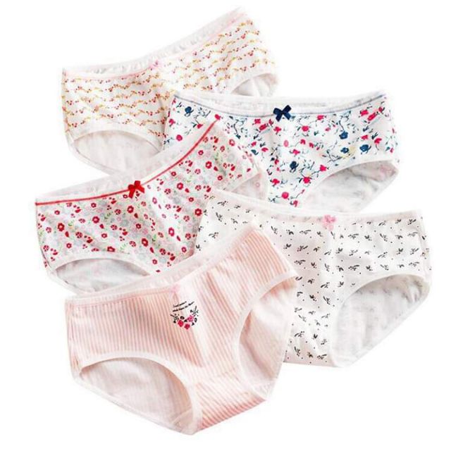 Combo 5 QUẦN LÓT TÚI ZIP