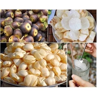 thốt nốt sấy dẻo