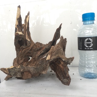 Gỗ lũa thủy sinh, lũa bể cá, lũa làm bonsai siêu đẹp, kích thước lớn 4095