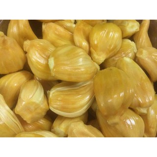  Cây Giống Mít Dai