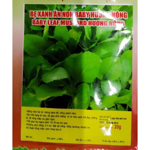 HẠT GIỐNG CẢI BẸ XANH ĂN NON 20GR