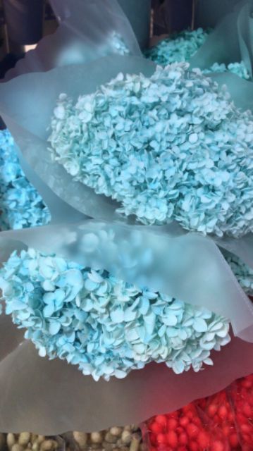 Hoa khô- hoa cẩm tú cầu ướp khô hàng cao cấp nhập khẩu Nhật Bản