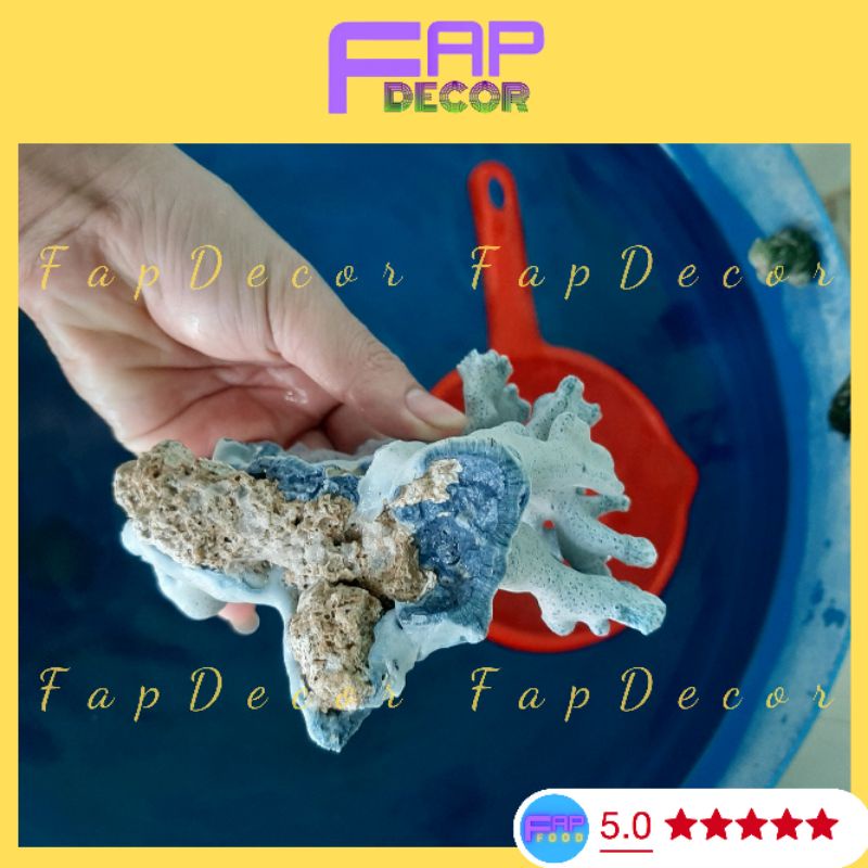 Bông Rạn Xanh Cao Cấp Hàng Hiếm Nhúng Nước Sẽ Lên Màu Siêu Đẹp Trang Trí Bể Cá, Thủy Sinh - FapFood