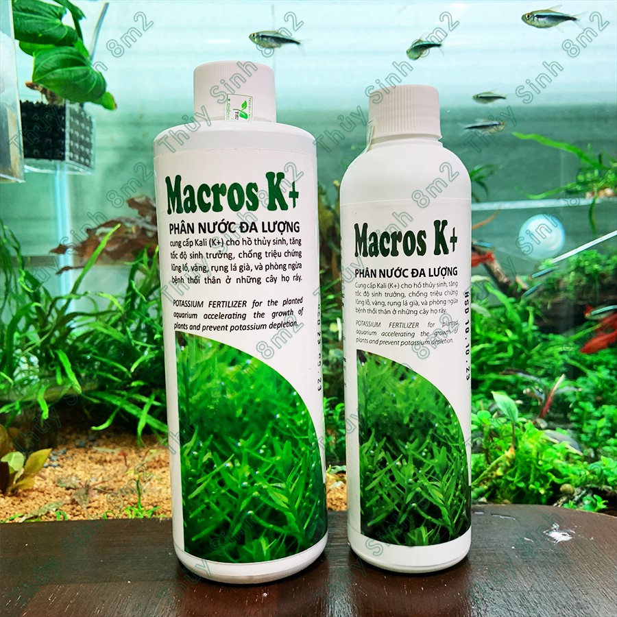 Phân Nước THUYSINHAZ Macros K+ | Cung Cấp Đa Lượng Kali Cho Cây Thủy Sinh | 8m2