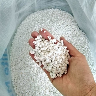 Đá perlite 🌳 FREE SHIP 🌳 giúp đất tơi xốp