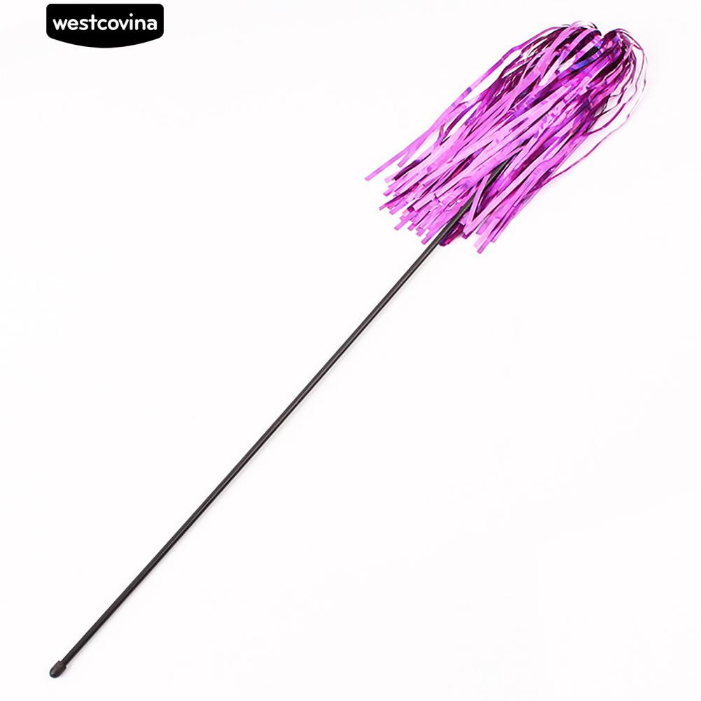 Đồ chơi tua rua tập tương tác cho mèo