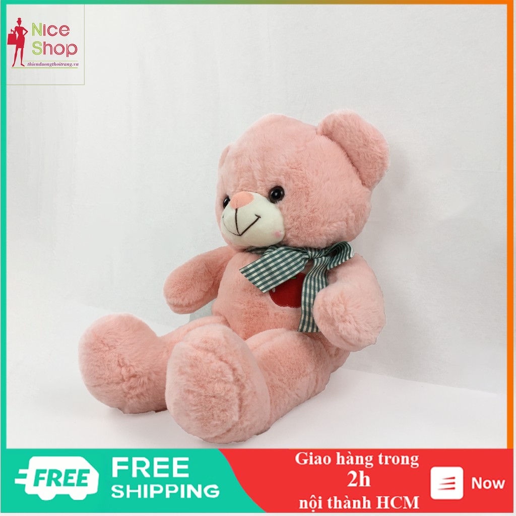 Gấu bông ôm teddy siêu đáng yêu nhiều màu dùng để cho bé ôm trang trí trong nhà - OT0700