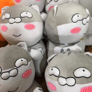 Mèo zalo gấu bông, chất miniso size to