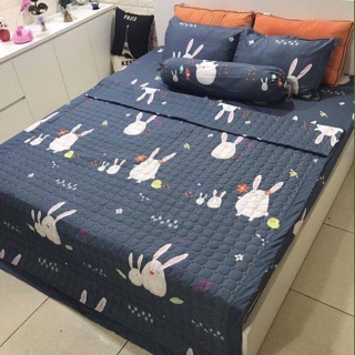 set chăn ga gối poly