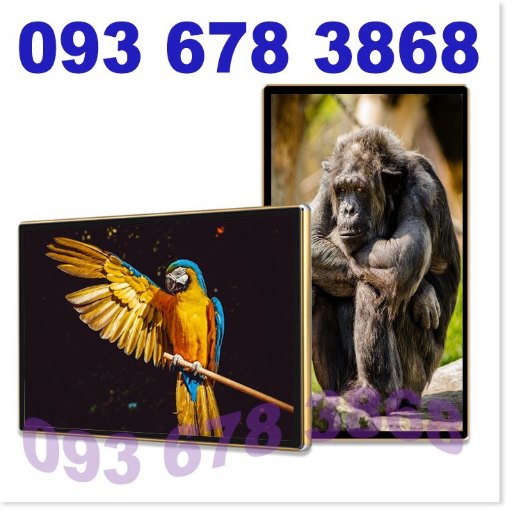 Màn hình quảng cáo treo tường Samsung 65 inch phiên bản Wifi sử dụng ngoài trời CYL-TG650B2-WS | BigBuy360 - bigbuy360.vn