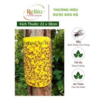 BẪY RUỒI VÀNG bẫy dính ruồi đục trái, ruồi vàng, ruồi giấm côn trùng hại cây