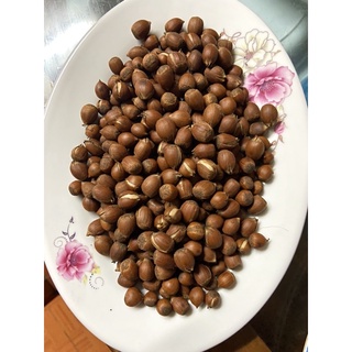 cây dẻ giống