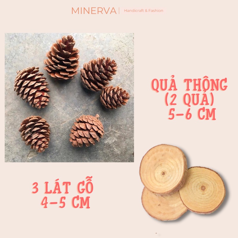 SET 11 Món Đồ khô - Quả khô phụ kiện chụp ảnh trang trí sản phẩm decor phông nền