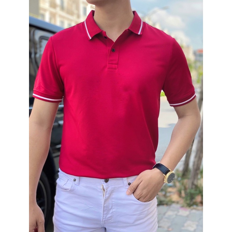 [Video Thật]Áo Thun Nam Trơn Vải Cá Sấu Cotton Cao cấp Ngắn Tay Cổ Bẻ Phối Viền, Áo Phông Nam TT PoLo Mát Mịn 50_90kg | BigBuy360 - bigbuy360.vn