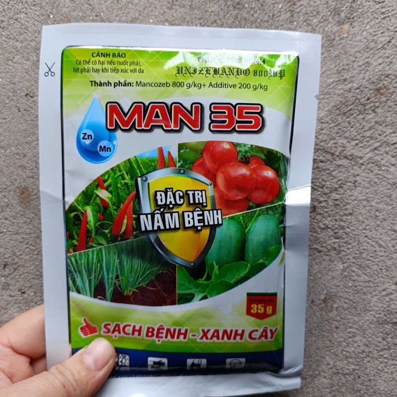 Man xanh Ấn độ, mancozeb, thuốc man gói 35g phòng ngừa nấm bệnh: Đốm vàng lá, thán thư, sương mai, mốc sương, phấn trắng