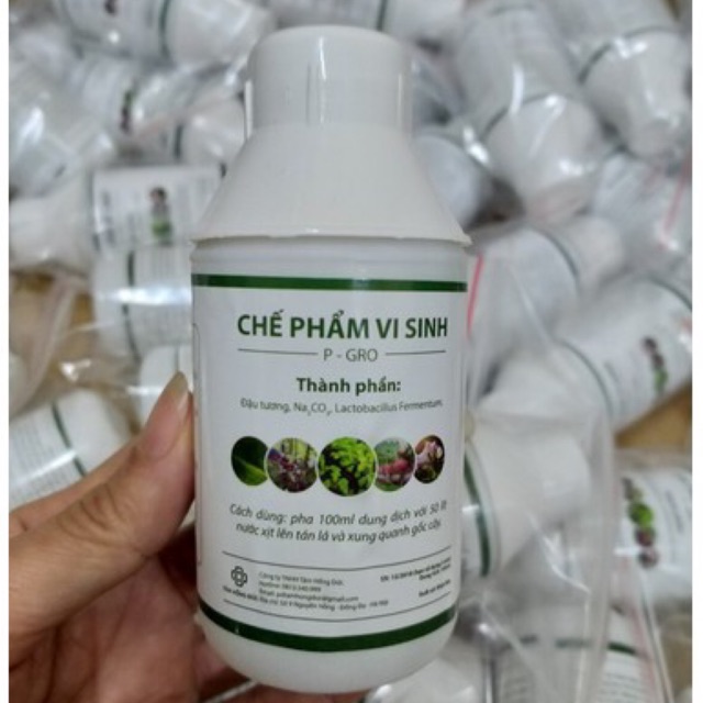 Chế phẩm vi sinh P-GRO cho hoa Hồng và cây cảnh