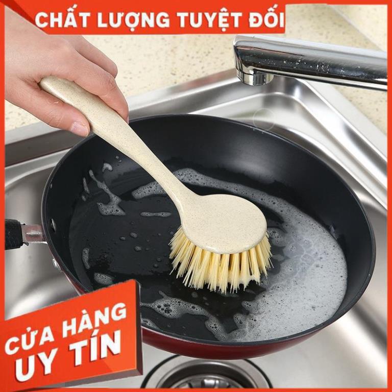 (Video Clip)  Chổi Cọ Xoong Nồi Cán Lúa Mạch Cao Cấp