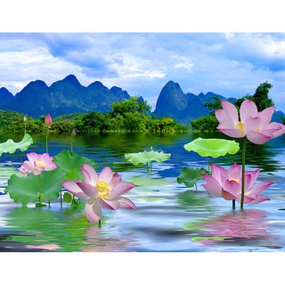 Tranh dán tường HD Hoa sen nhiều mẫu HSEN1810204 in PP kim sa nhiều mẫu và kích thước