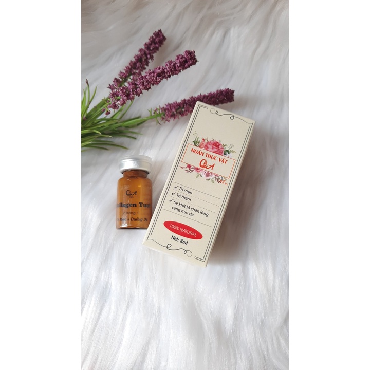 Noãn thực vật và mờ thâm)