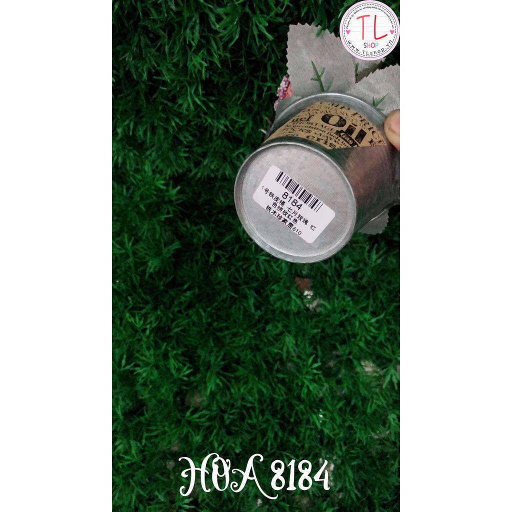 Chậu hồng đỏ nhỏ xinh