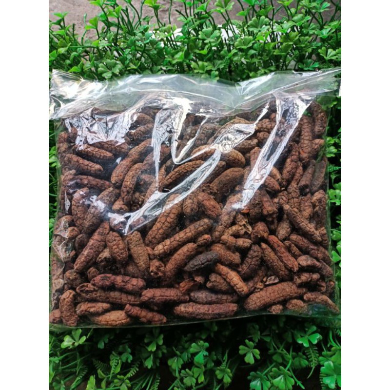 chuối hột rừng ngâm rượu -đặc sản Tây Bắc(1kg)