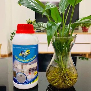 Chất Tẩy Dầu Mỡ Máy Hút Mùi Smart Cleaner