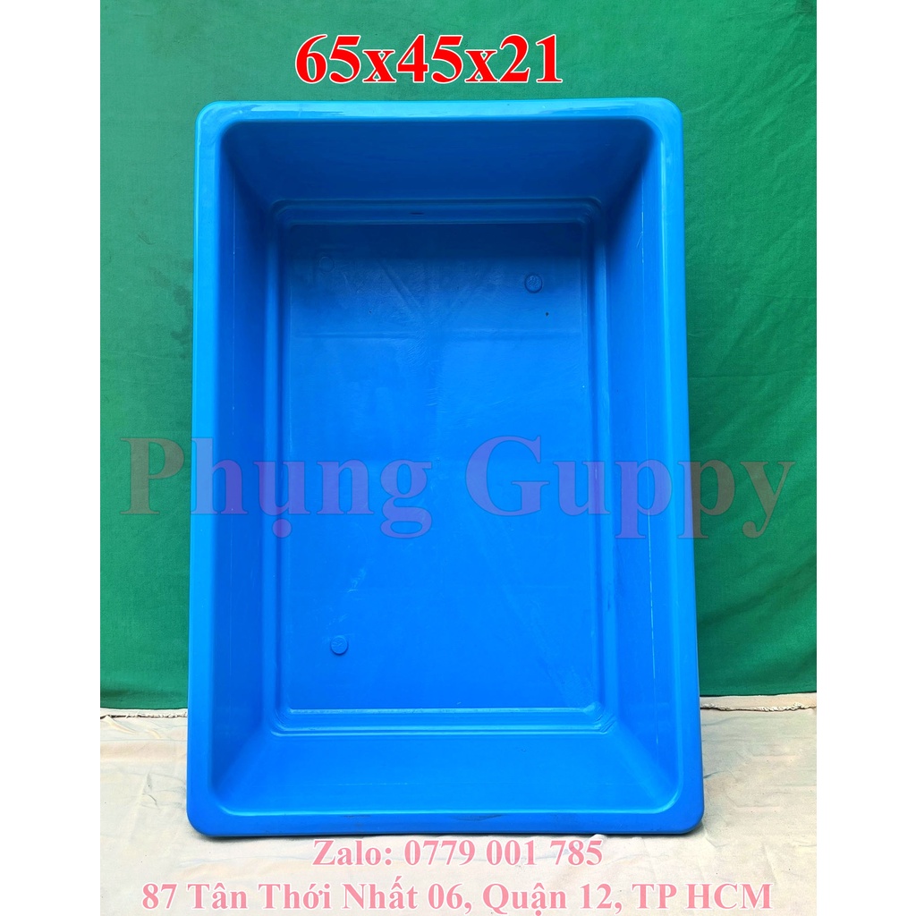 Khay Nhựa XANH Cao 21cm Nuôi Cá, Ép Cá Kích Thước 65x45x21