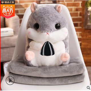 Chuột bông Hamster