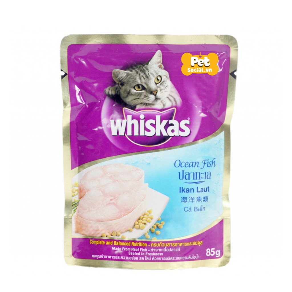 Pate 12 gói Whiskas mèo lớn 85gr