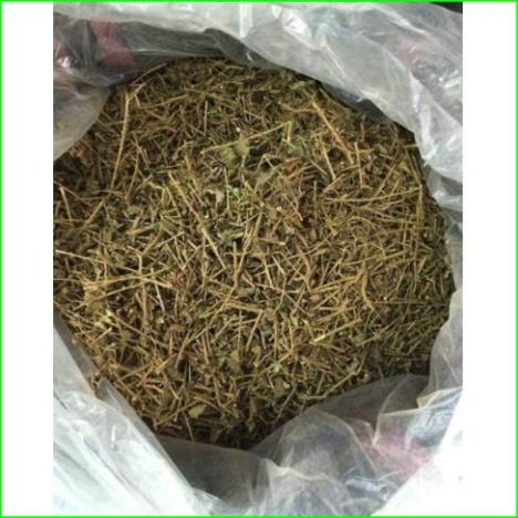 500gr Cà gai leo khô hàng loại 1 thơm, sạch