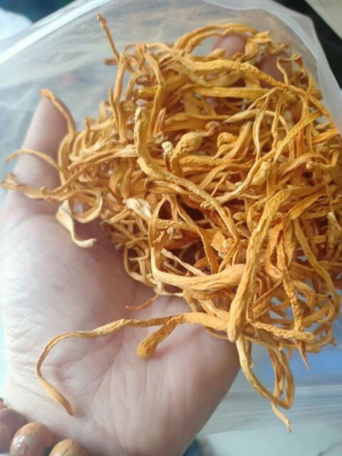 Đông Trùng Hạ Thảo Khô (tặng kèm táo đỏ tân cương)