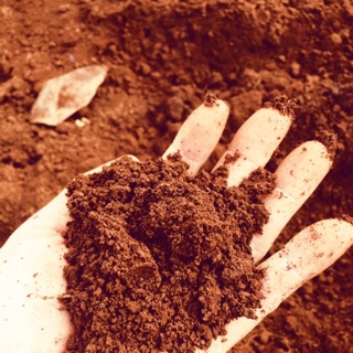 Đất đỏ Bazan 15 kg