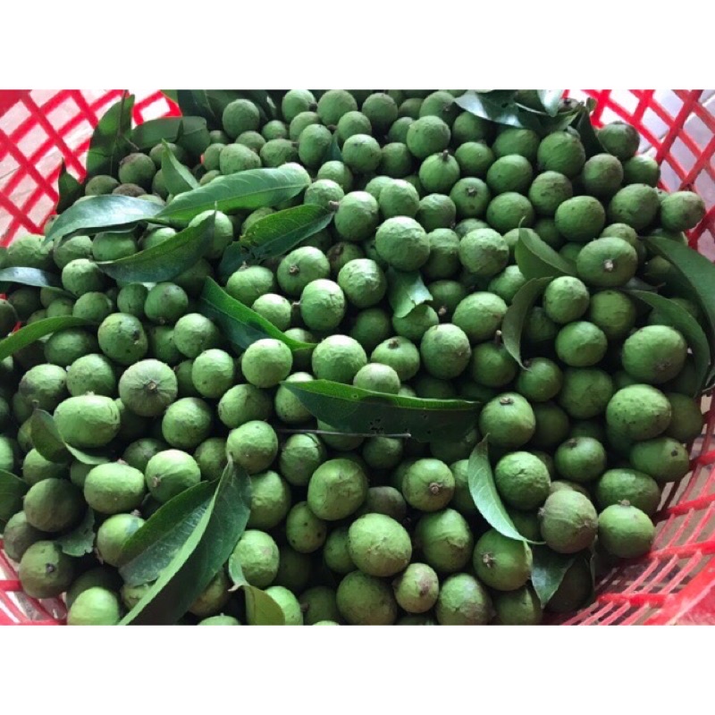 Sấu xanh, Sấu bánh tẻ đã cạo sạch vỏ cấp đông - Ship hoả tốc Hà Nội