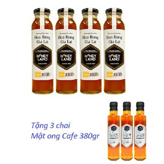 Combo 4 chai mật ong gia lai 470gr + 3 chai mật ong điện biên 380gr