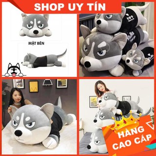 Chó Husky Bông, Chó Bông Huskey