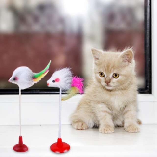 Đồ chơi vui nhộn cho mèo. Đầu hút lò xo đàn hồi có gắn chuột gắn lông - Lida Pet Shop