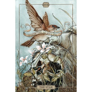 Bộ Bài Hush Tarot (Guu Tarot Shop)