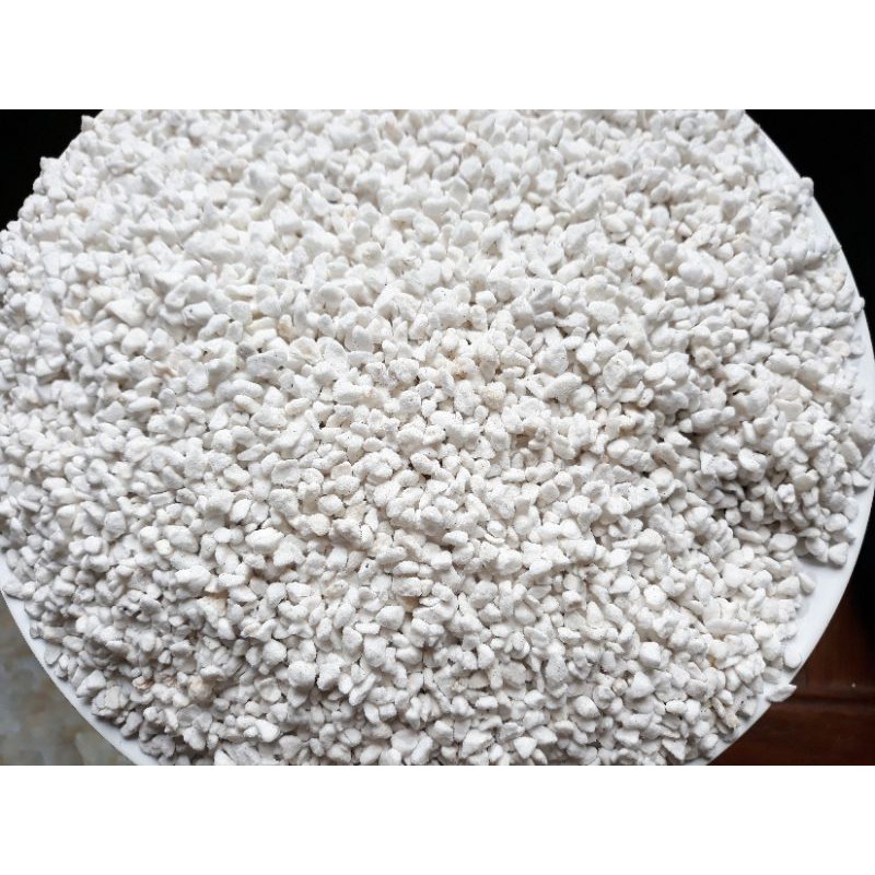 Đá Perlite - Đá trân châu túi 0,5 kg