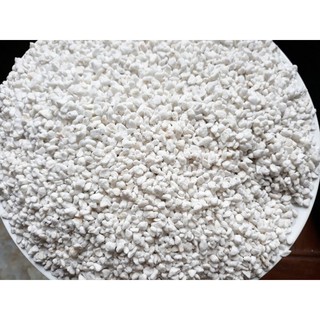 Đá Perlite - Đá trân châu túi 0,5 kg