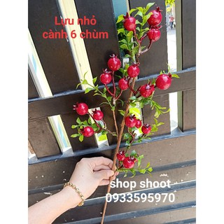 CÀNH LỰU TÀI LỘC CHƯNG TẾT