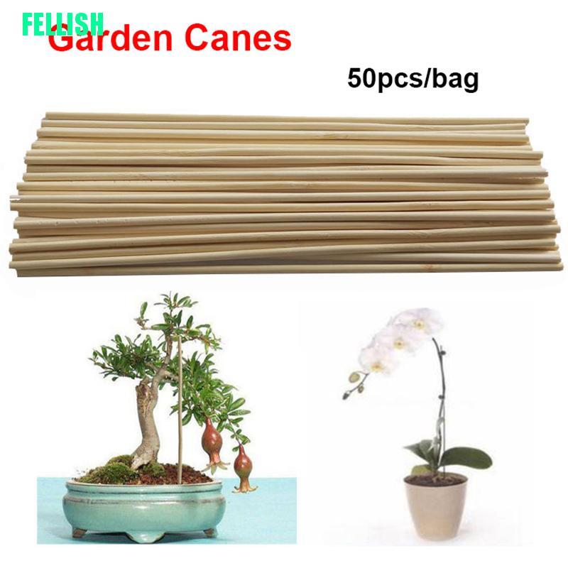 Bộ 50 Que Gỗ Hỗ Trợ Trồng Cây