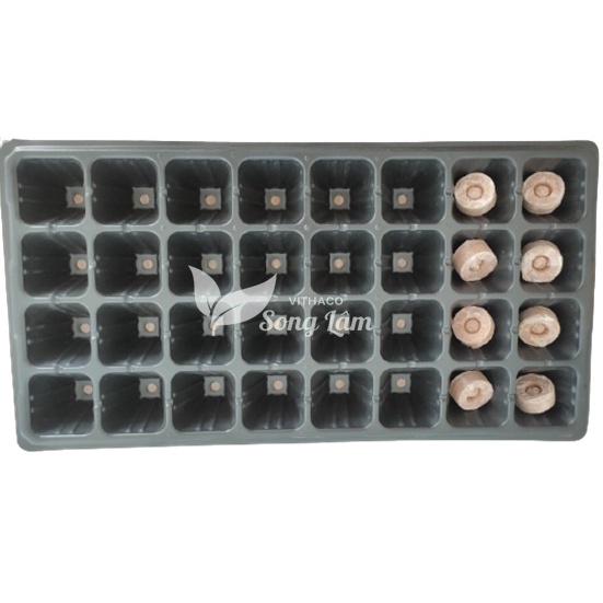 Khay nhựa ươm hạt giống, vỉ nhựa ươm cây 32 lỗ, 50 lỗ